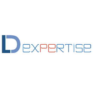 logo LD Expertise